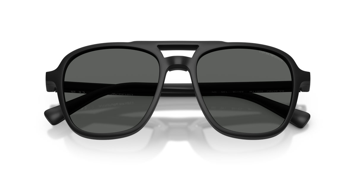Sunglasses Emporio Armani EA4279U 50011W 51 / 53 18