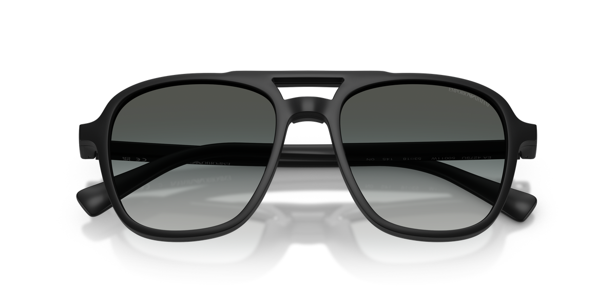 Sunglasses Emporio Armani EA4279U 50011W 51 / 53 18