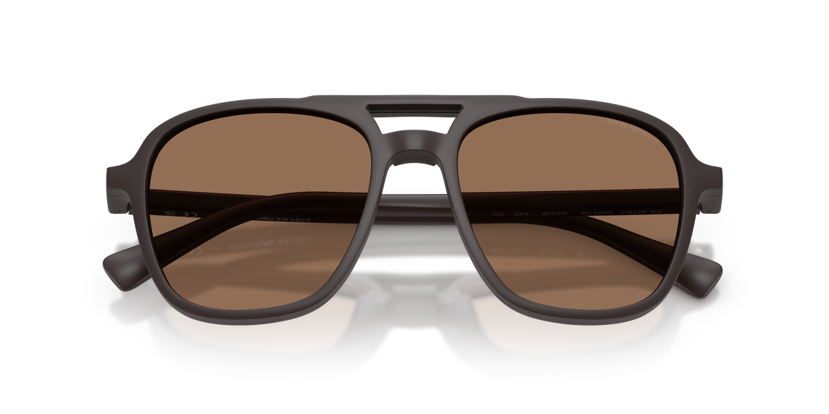 Sunglasses Emporio Armani EA4279U 58581W 51 / 53 18