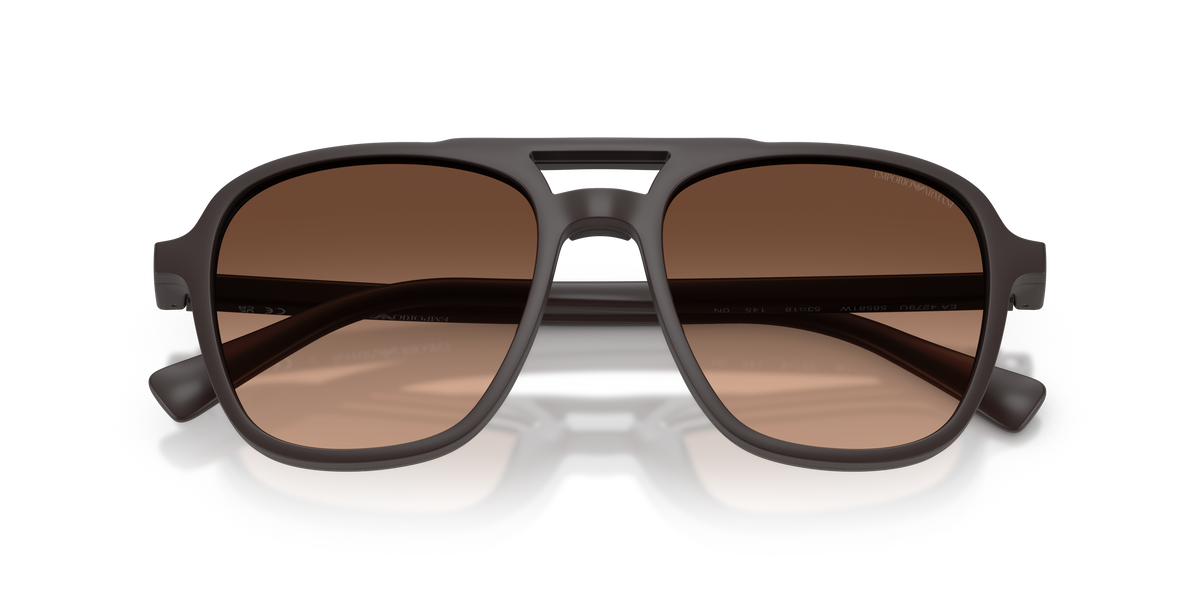 Sunglasses Emporio Armani EA4279U 58581W 51 / 53 18