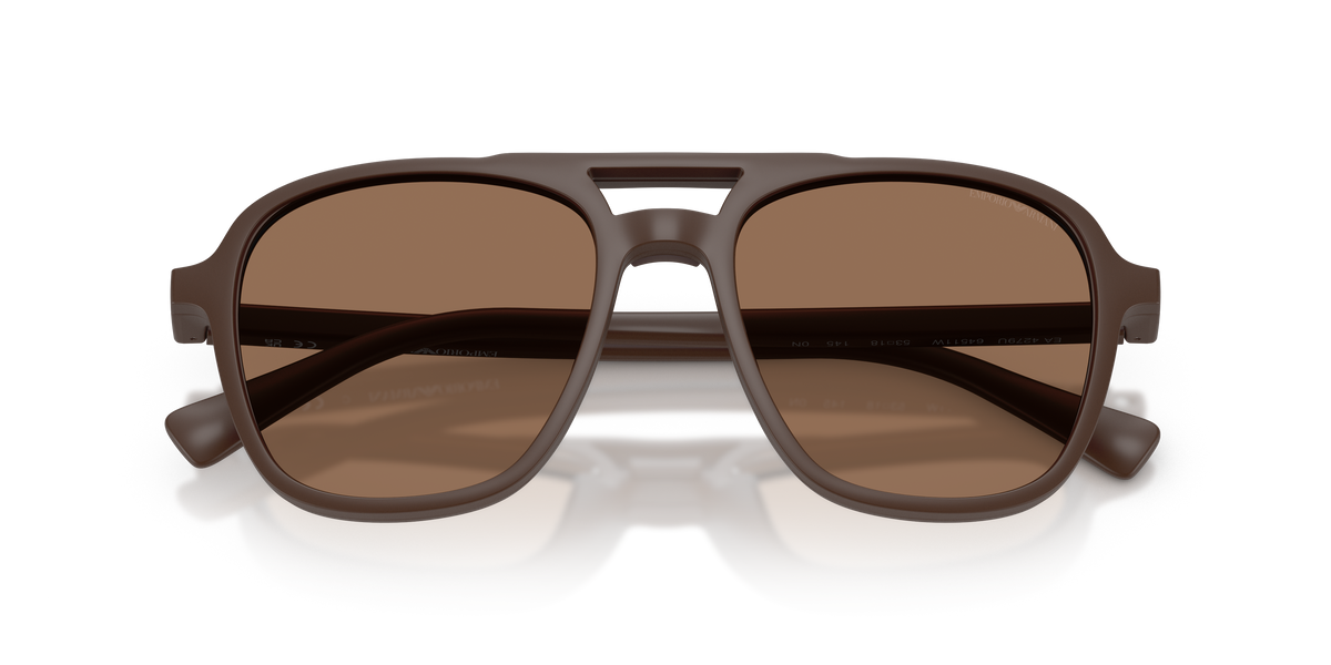 Sunglasses Emporio Armani EA4279U 64511W 51 / 53 18