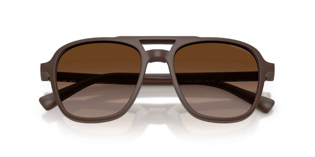 Sunglasses Emporio Armani EA4279U 64511W 51 / 53 18