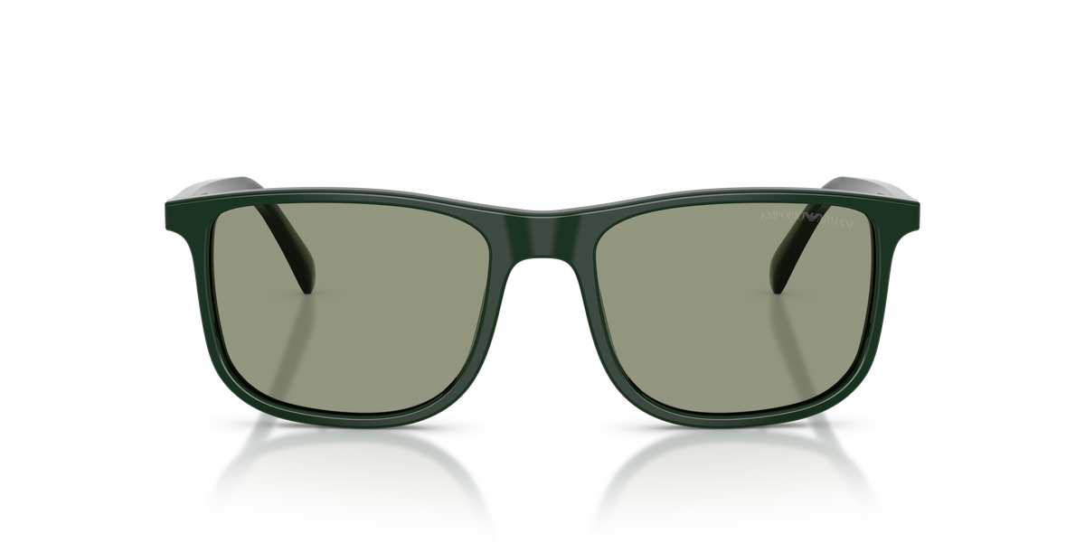Sunglasses Emporio Armani EA4280 6173/2 54 18
