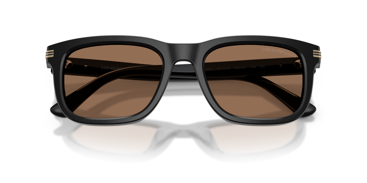 Sunglasses Emporio Armani EA4282U 501773 54 20