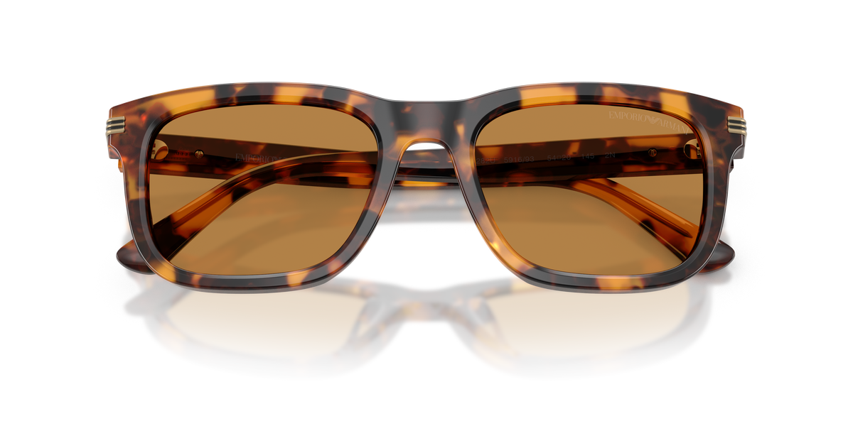 Sunglasses Emporio Armani EA4282U 591693 54 20