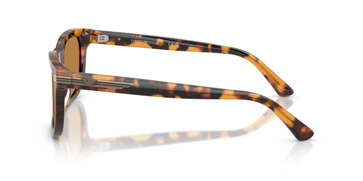 Sunglasses Emporio Armani EA4282U 591693 54 20