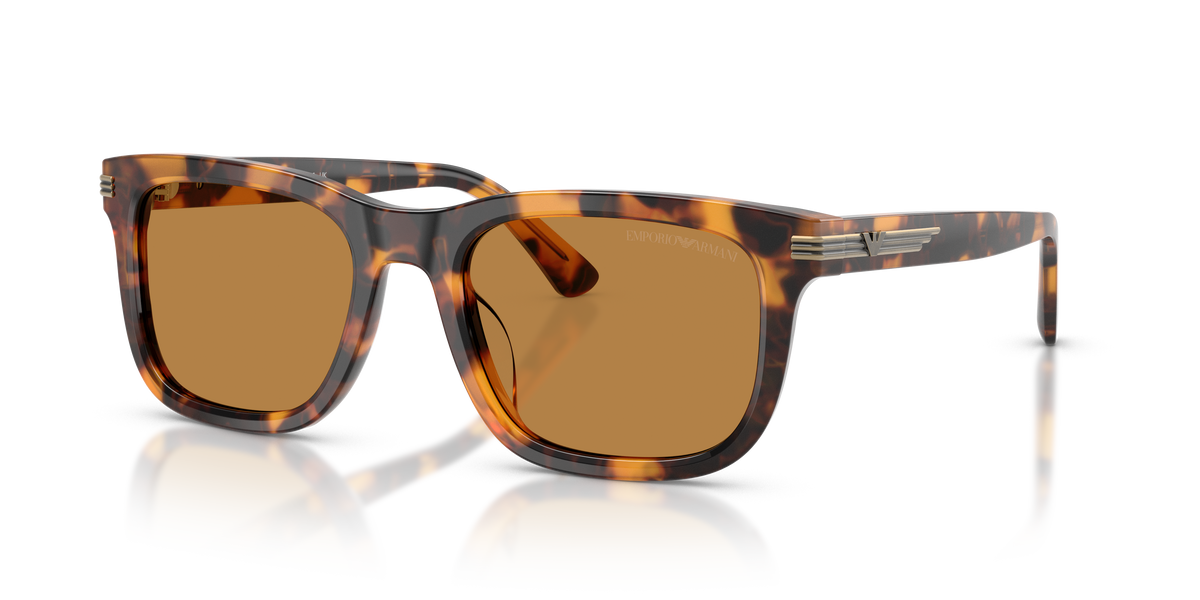 Sunglasses Emporio Armani EA4282U 591693 54 20