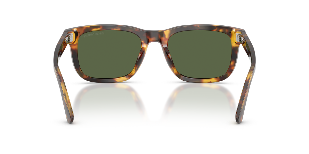 Sunglasses Emporio Armani EA4282U 599371 54 20