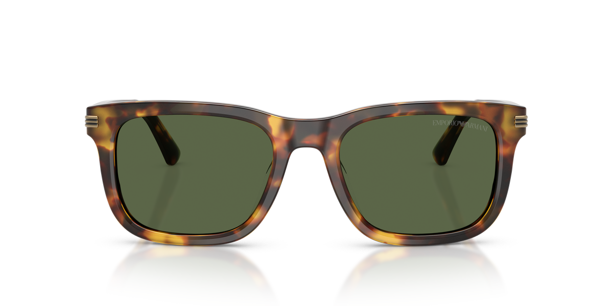Sunglasses Emporio Armani EA4282U 599371 54 20