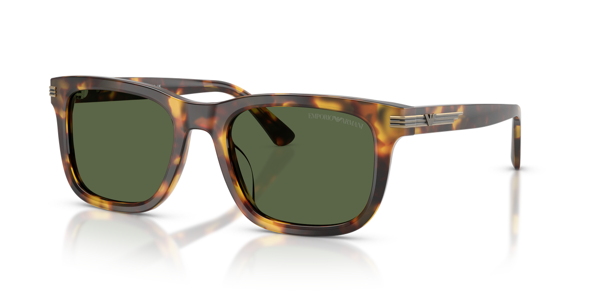 Gafas de Sol Emporio Armani EA4282U 599371 54 20