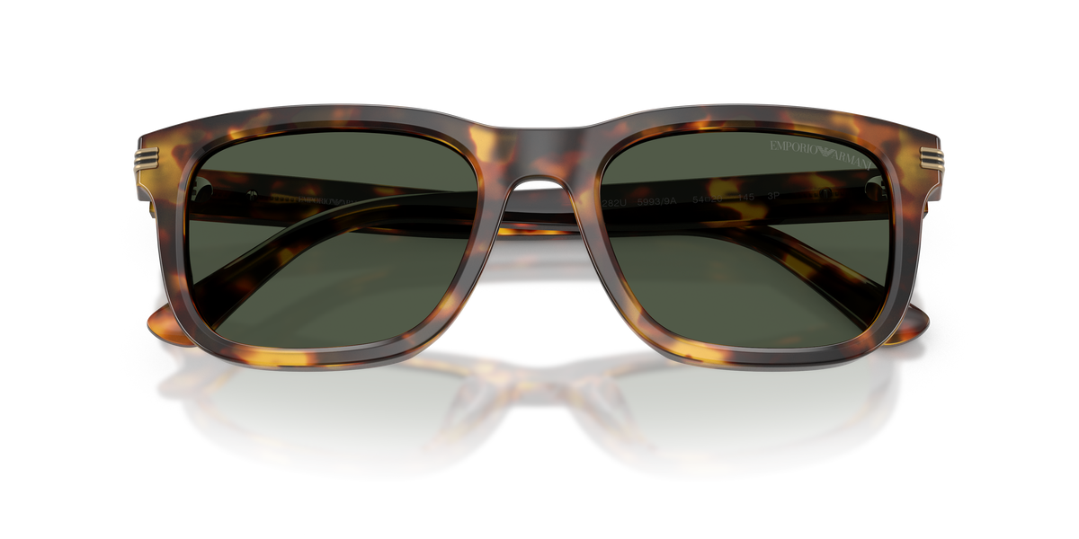 Sunglasses Emporio Armani EA4282U 59939A 54 20