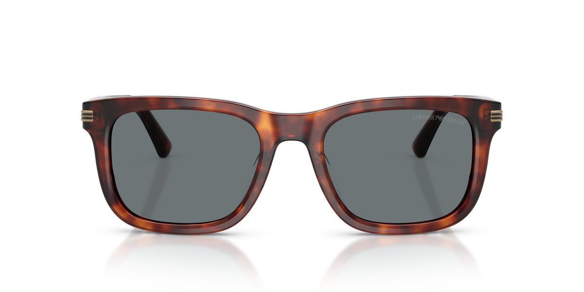Sunglasses Emporio Armani EA4282U 603480 54 20