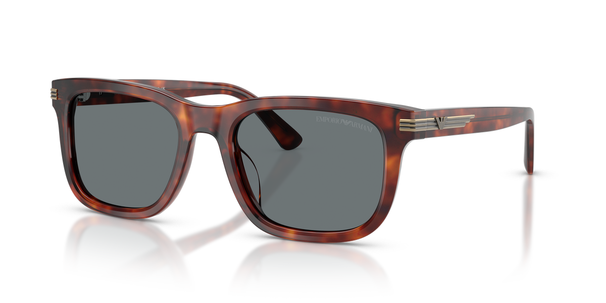 Sunglasses Emporio Armani EA4282U 603480 54 20