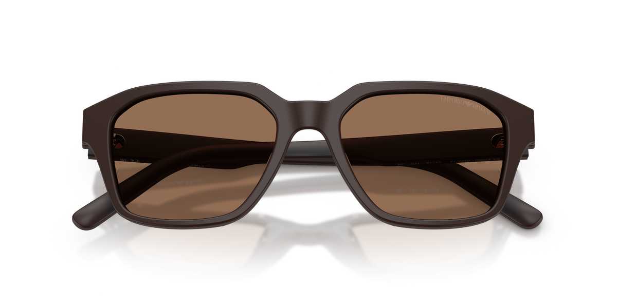 Gafas de Sol Emporio Armani EA4283U 645873 53 18