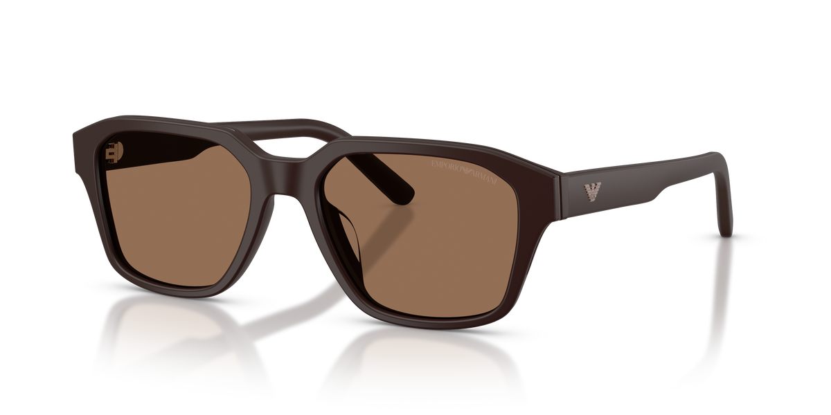 Gafas de Sol Emporio Armani EA4283U 645873 53 18