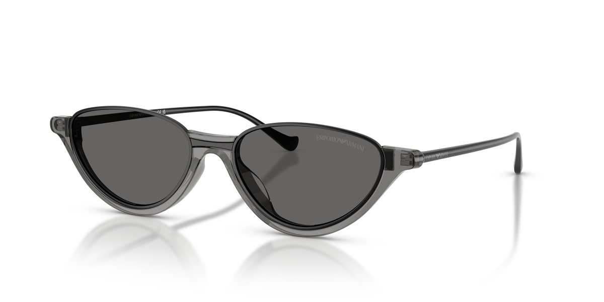 Gafas de Sol Emporio Armani EA4288U 650187 54 17