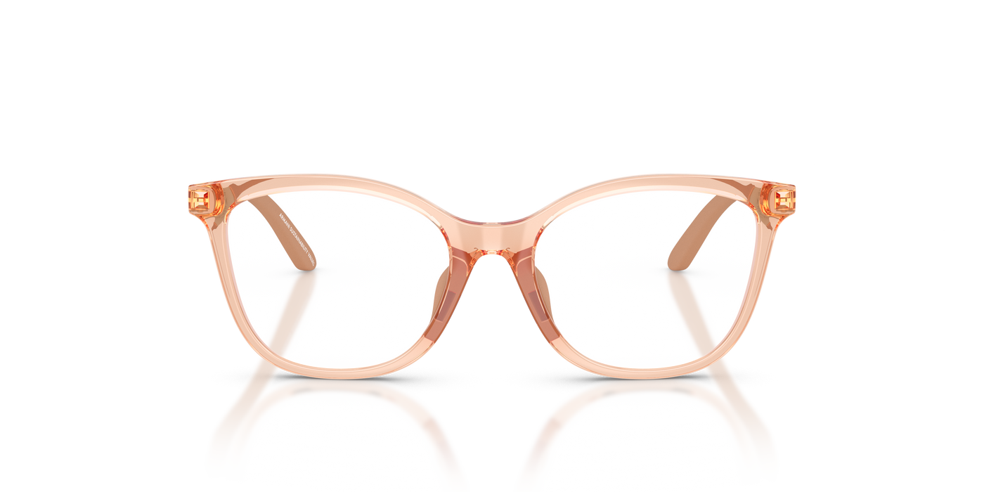 Gafas Graduadas Emporio Armani Ek3011U EK3011U 6347 48 16