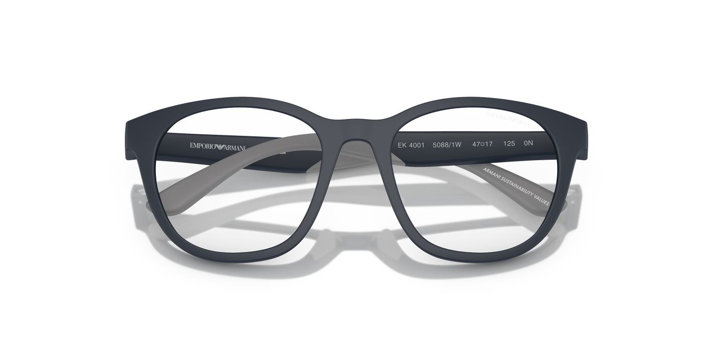 Sunglasses Emporio Armani Ek4001 EK4001 50881W 47 17