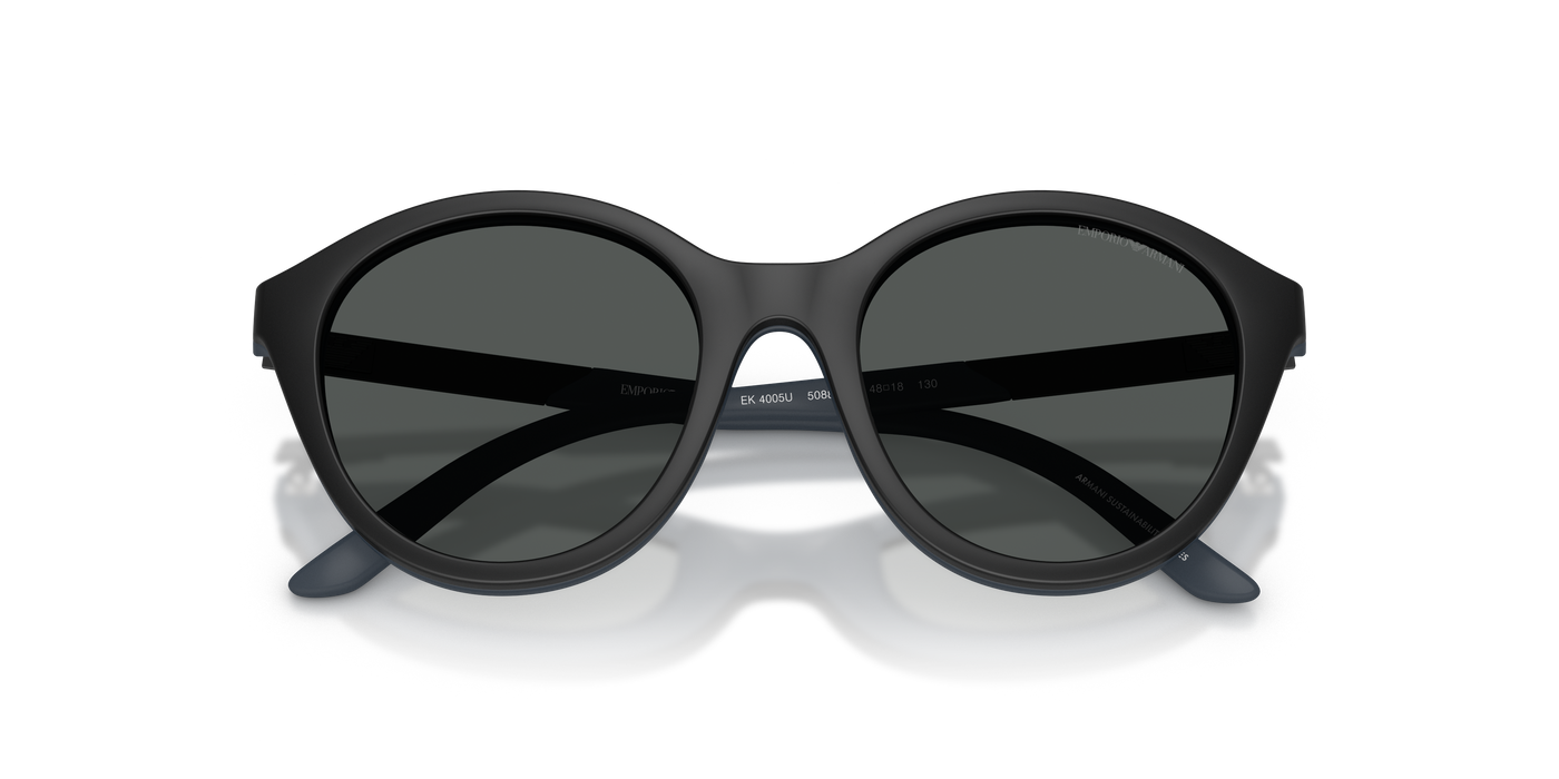 Sunglasses Emporio Armani Ek4005U EK4005U 50881W 48 18