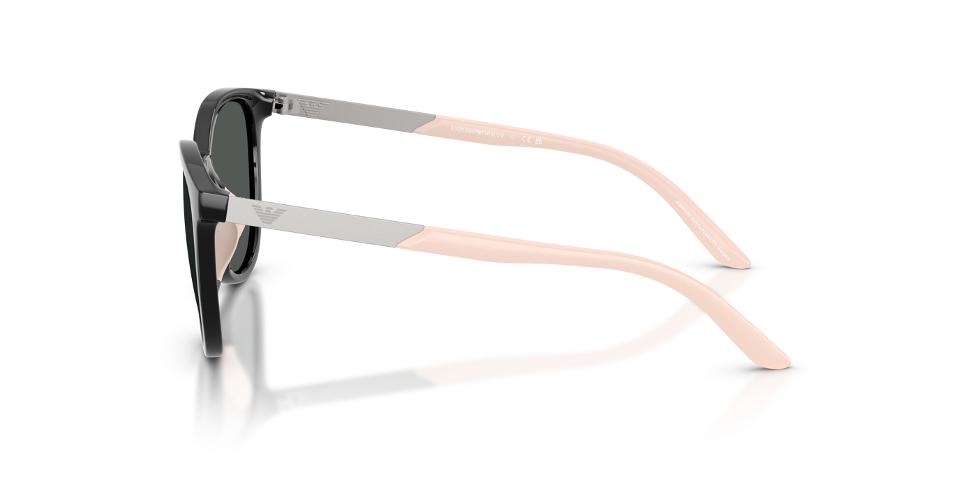 Gafas de Sol Emporio Armani Ek4007U EK4007U 501787 49 17