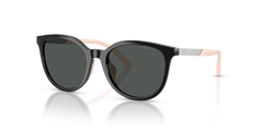 Gafas de Sol Emporio Armani Ek4007U EK4007U 501787 49 17