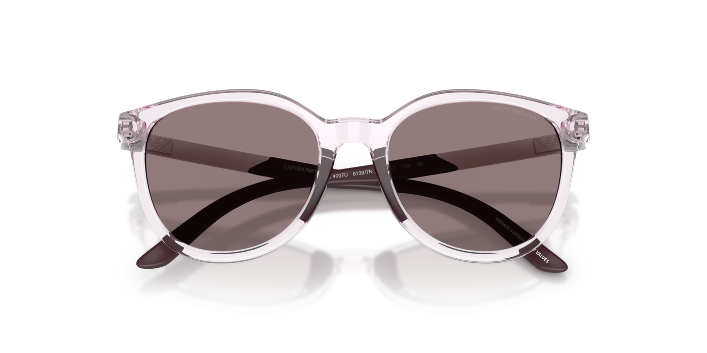 Gafas de Sol Emporio Armani Ek4007U EK4007U 61397N 49 17