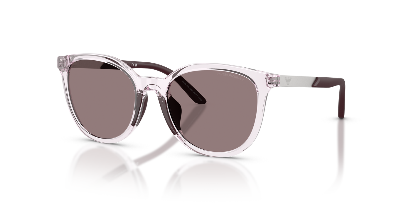 Gafas de Sol Emporio Armani Ek4007U EK4007U 61397N 49 17