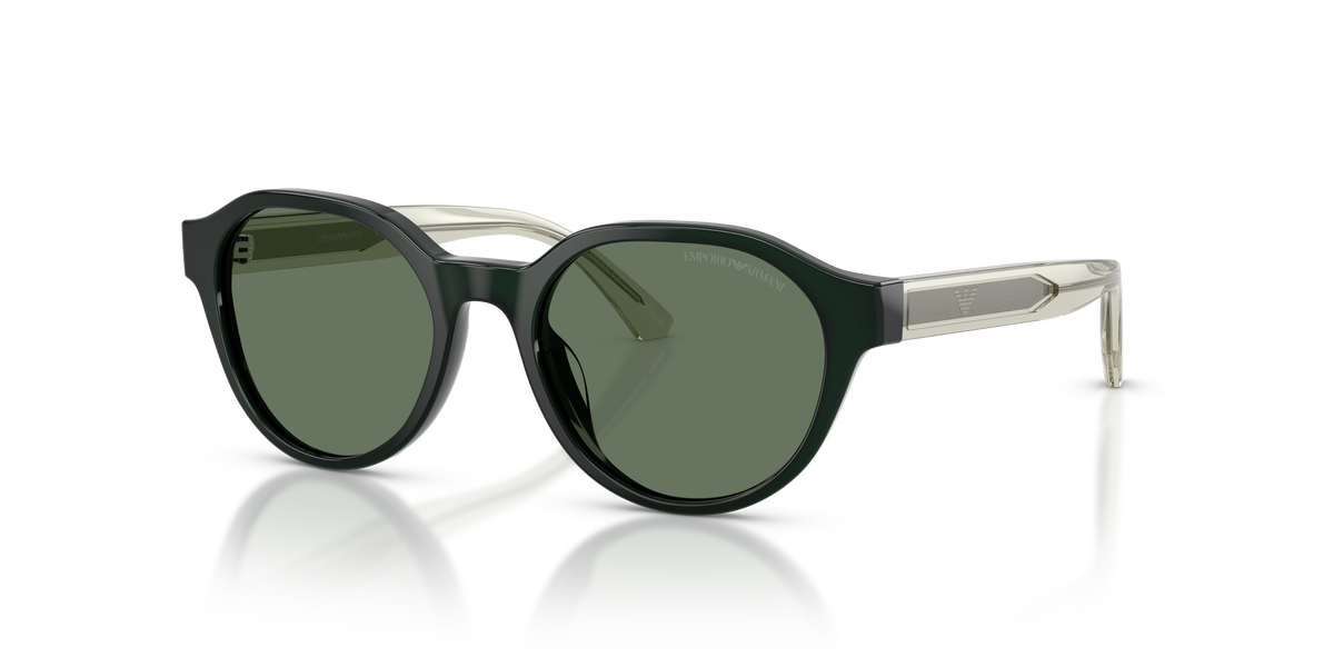 Gafas de Sol Emporio Armani EK4008U 638182 48 17