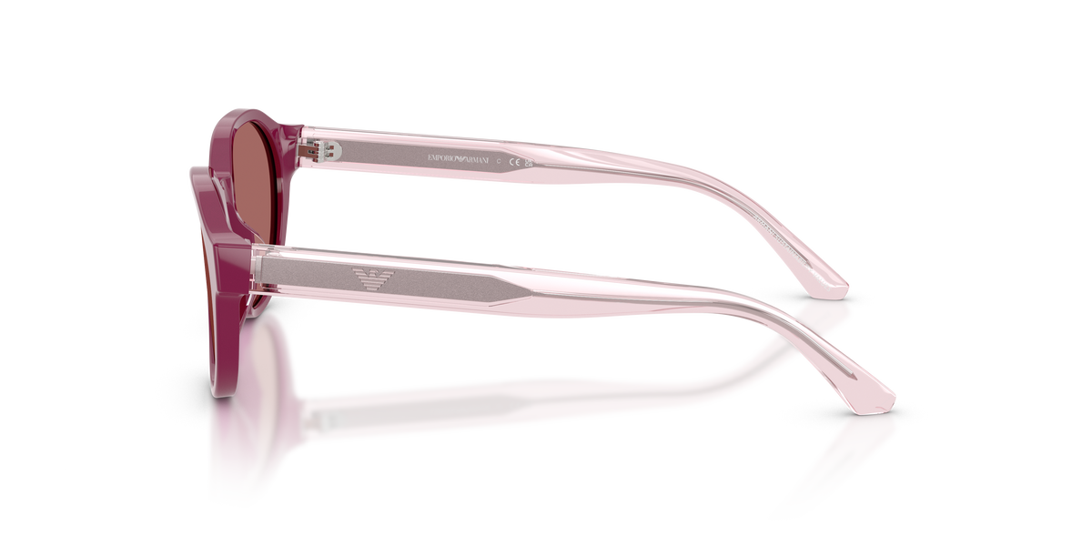 Gafas de Sol Emporio Armani EK4008U 638369 48 17