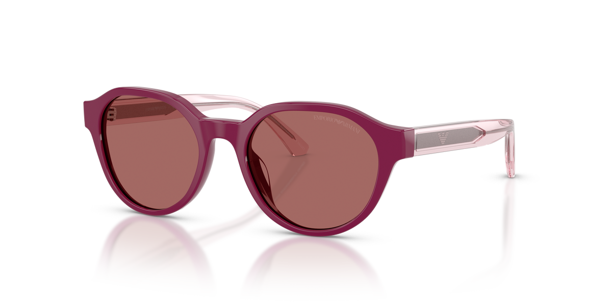 Gafas de Sol Emporio Armani EK4008U 638369 48 17
