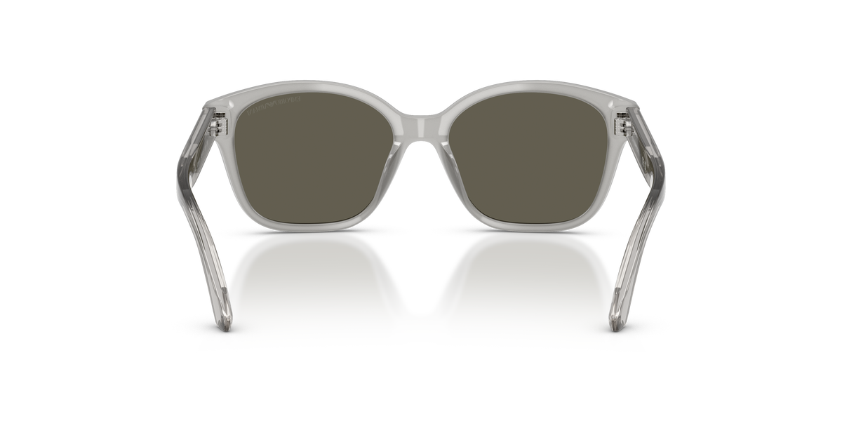 Gafas de Sol Emporio Armani EK4009U 638693 49 15
