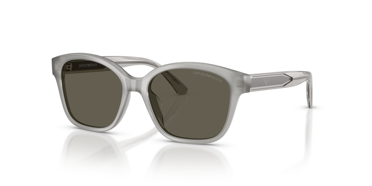 Gafas de Sol Emporio Armani EK4009U 638693 49 15