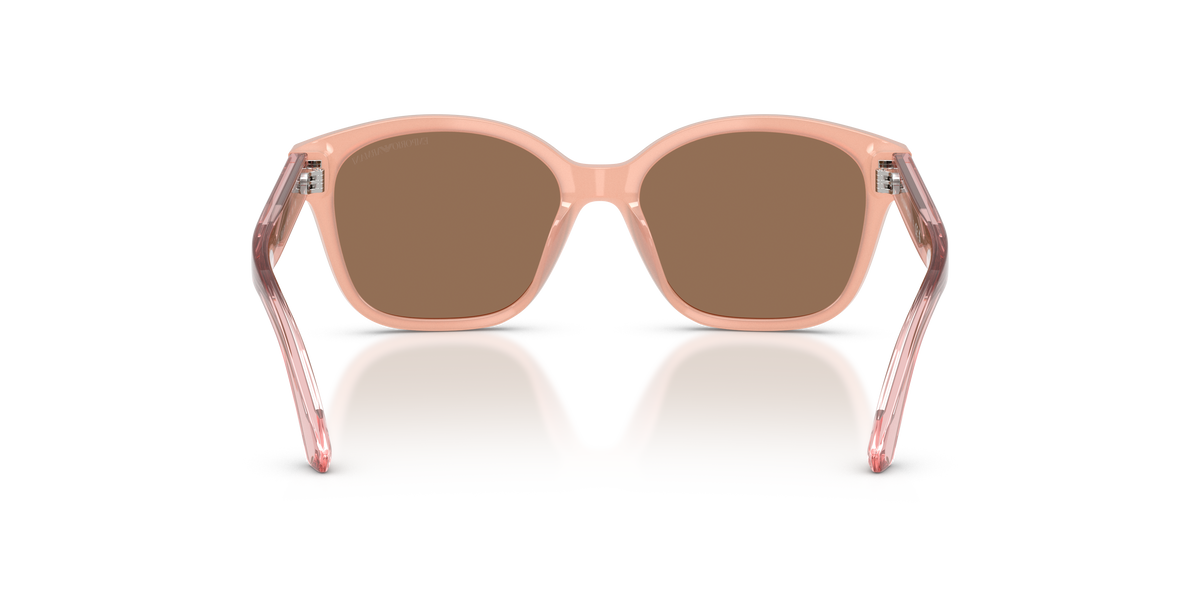 Gafas de Sol Emporio Armani EK4009U 638773 49 15