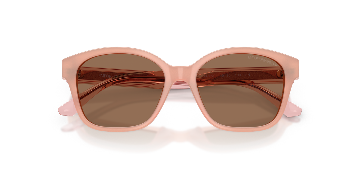 Gafas de Sol Emporio Armani EK4009U 638773 49 15