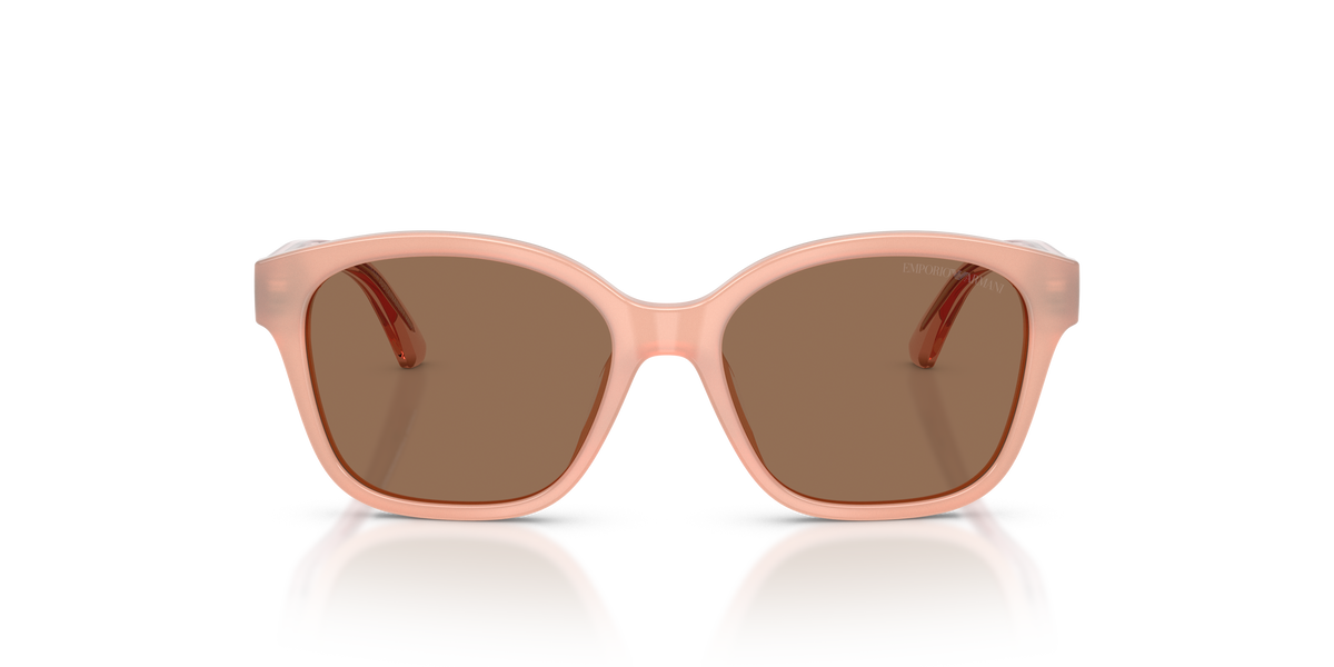 Gafas de Sol Emporio Armani EK4009U 638773 49 15