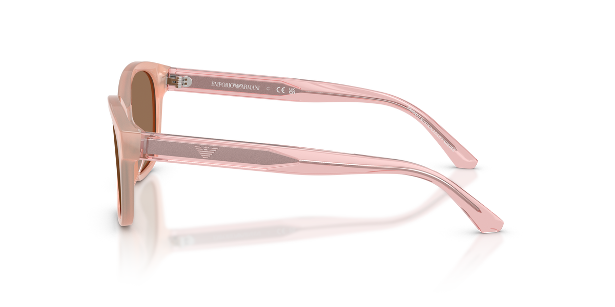 Gafas de Sol Emporio Armani EK4009U 638773 49 15