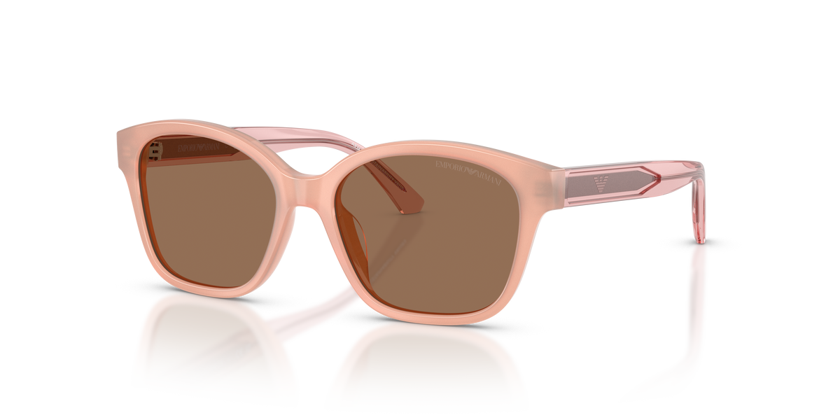 Gafas de Sol Emporio Armani EK4009U 638773 49 15