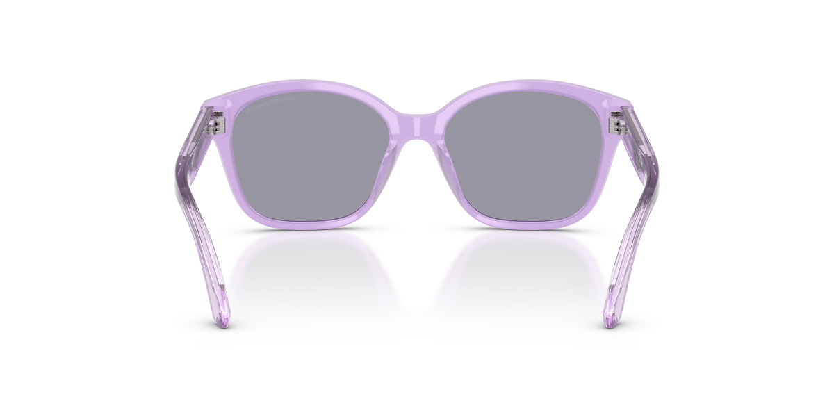 Gafas de Sol Emporio Armani EK4009U 638880 49 15