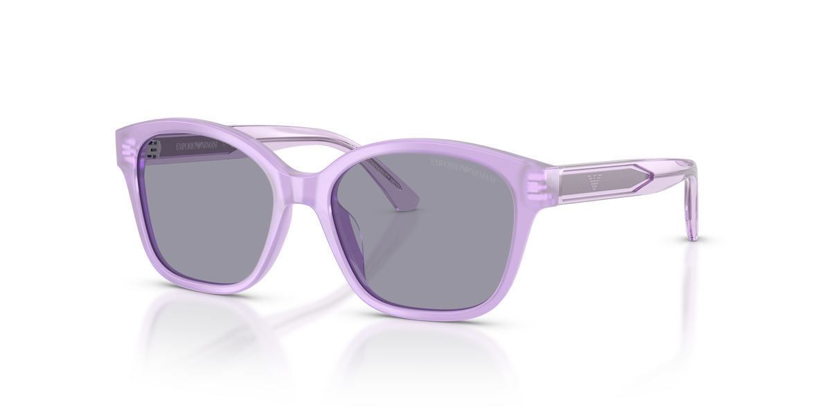 Gafas de Sol Emporio Armani EK4009U 638880 49 15