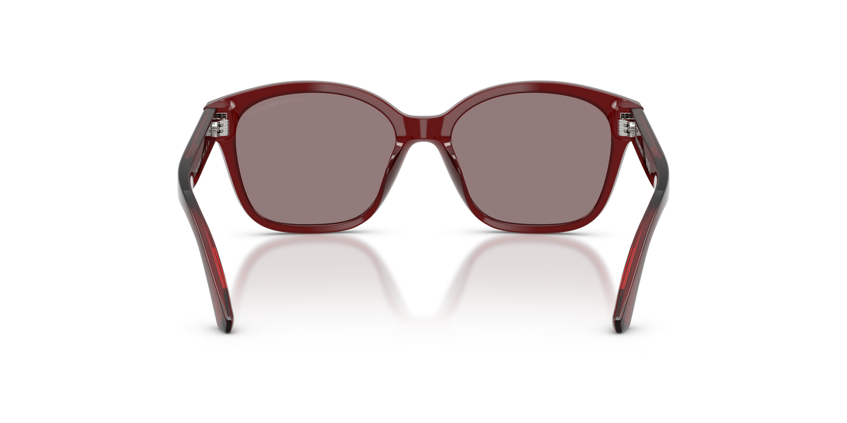 Gafas de Sol Emporio Armani EK4009U 63897N 49 15