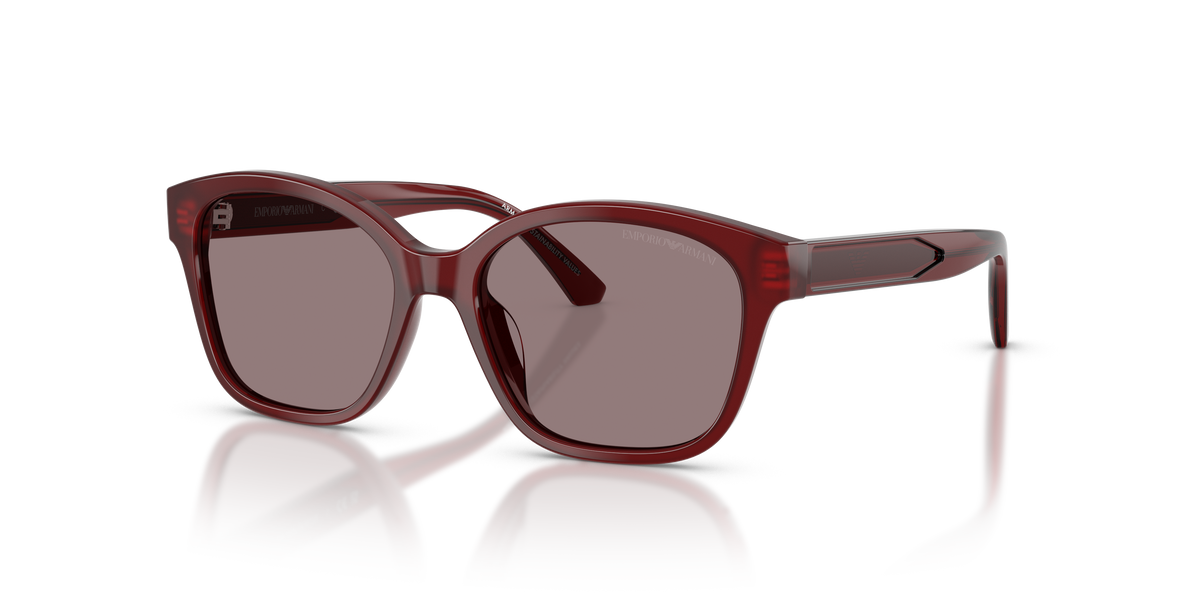 Gafas de Sol Emporio Armani EK4009U 63897N 49 15