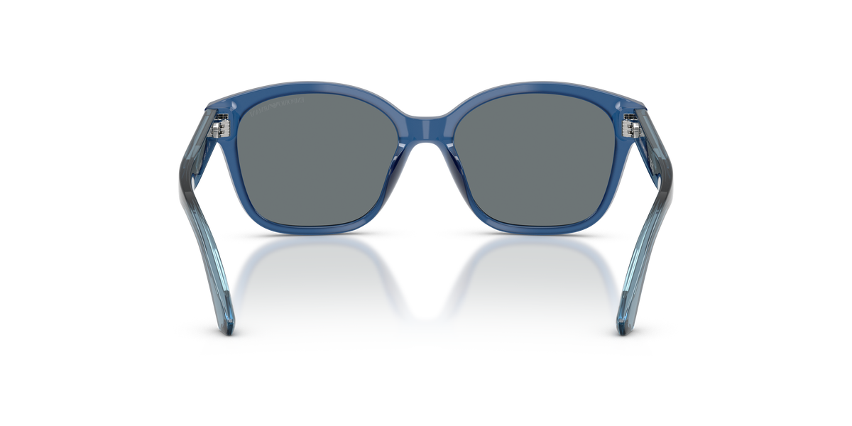 Gafas de Sol Emporio Armani EK4009U 639080 49 15
