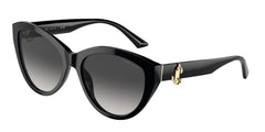 Sunglasses Jimmy Choo Magnified JC5007 50008G