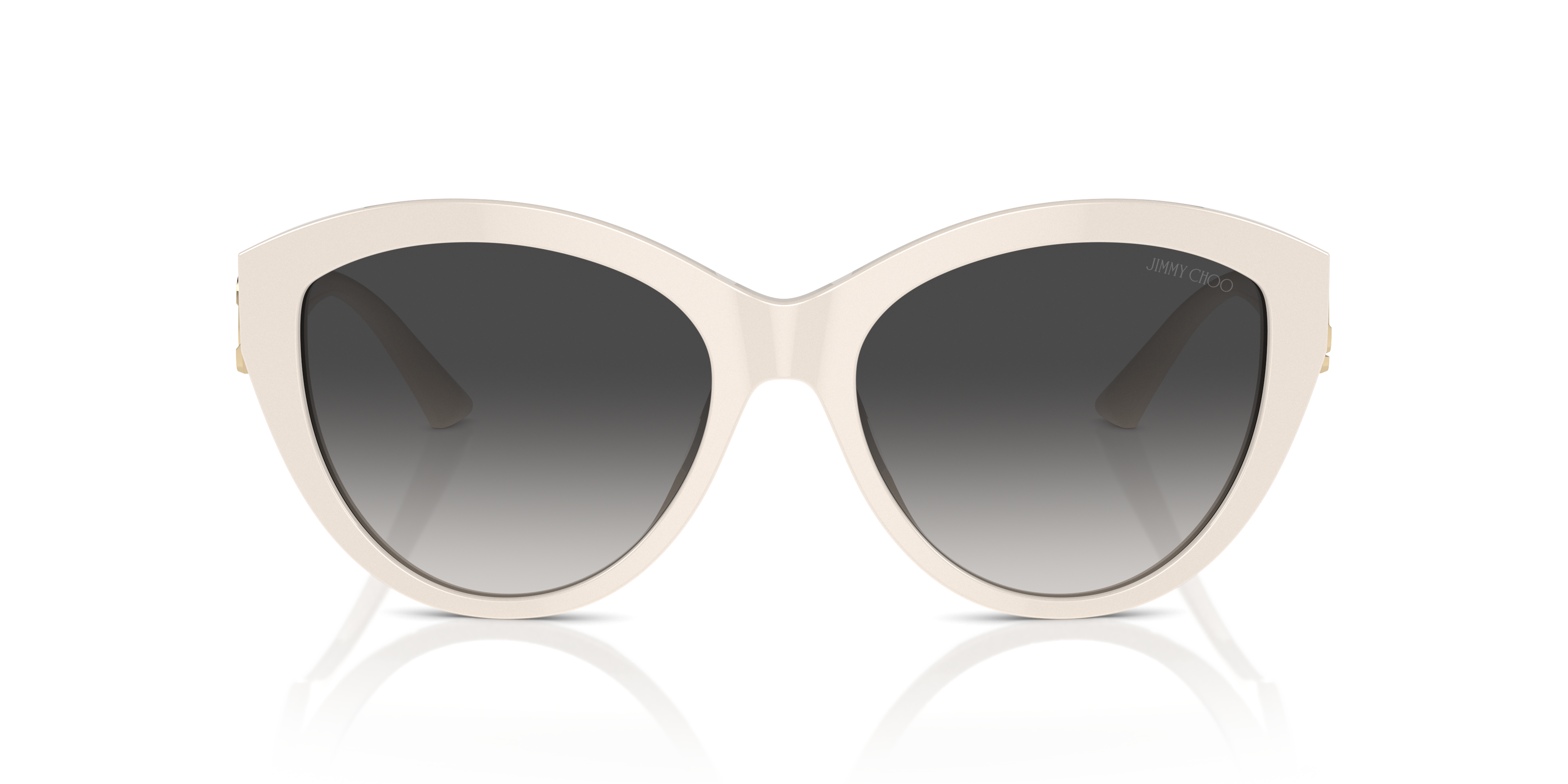 Gafas de Sol Jimmy Choo Magnified JC5007 50088G