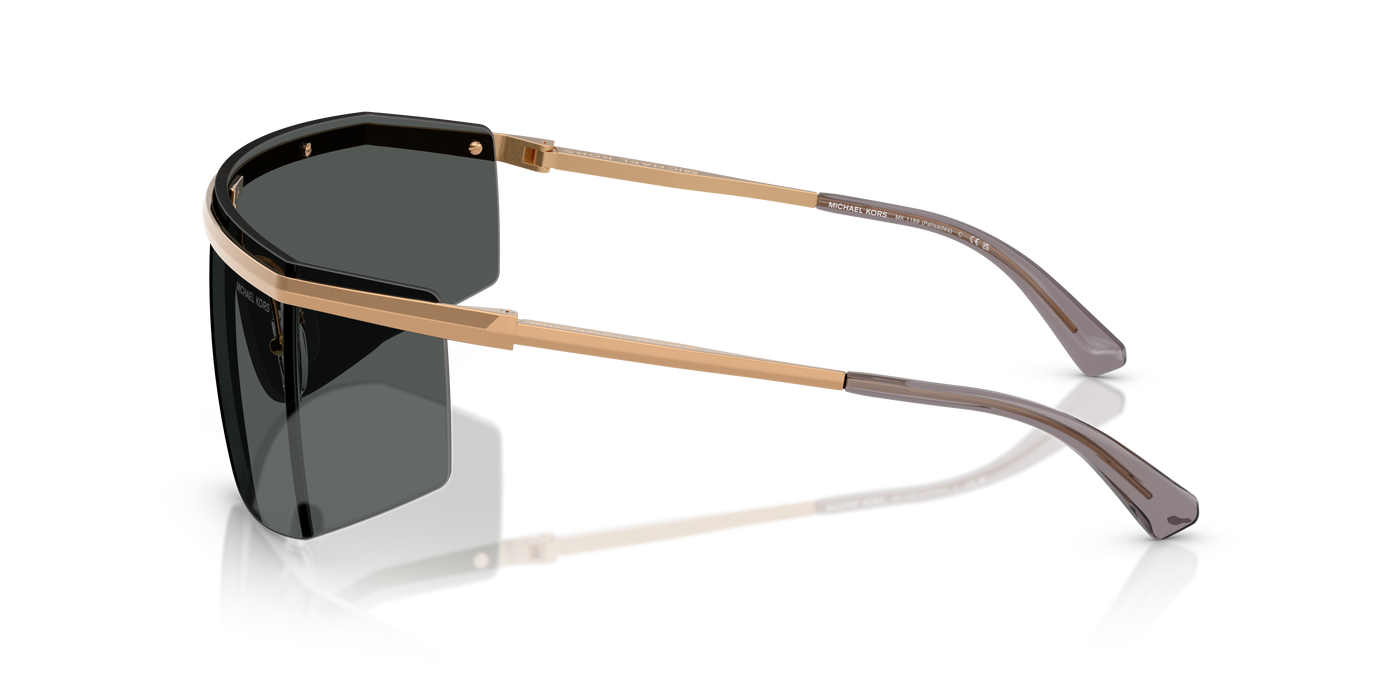 Gafas de Sol Michael Kors Palisades MK1169 189987 45 145