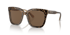 Gafas de Sol Michael Kors San Marino MK2163 391773 52 19