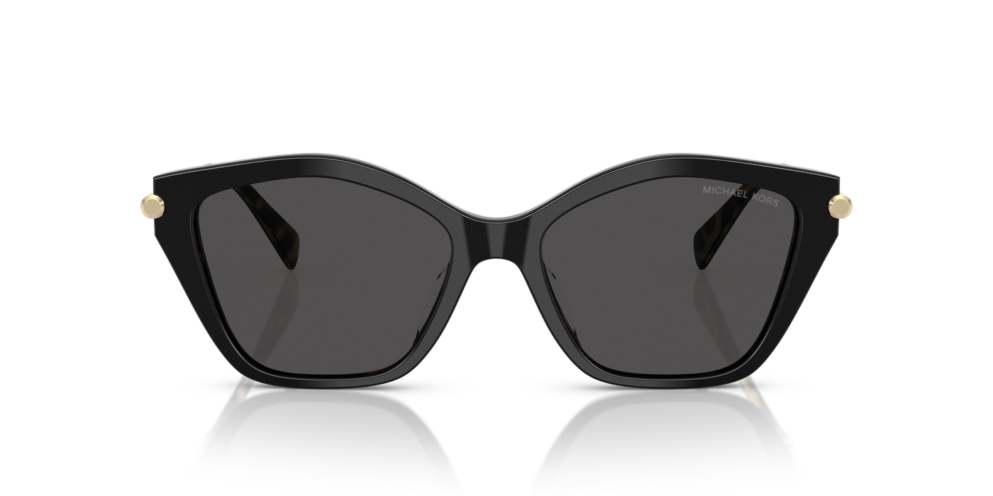 Gafas de Sol Michael Kors Catskills MK2246U 395087 54 17