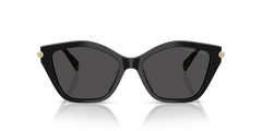 Gafas de Sol Michael Kors Catskills MK2246U 395087 54 17