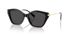 Gafas de Sol Michael Kors Catskills MK2246U 395087 54 17