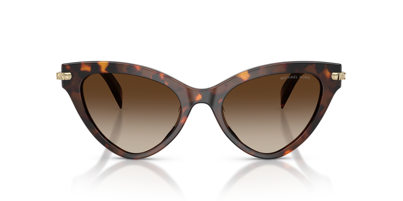 Gafas de Sol Michael Kors Roanoke MK2259U 403113 52 19
